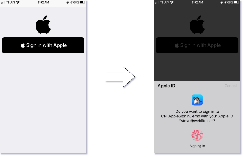 Sign-in with apple demo